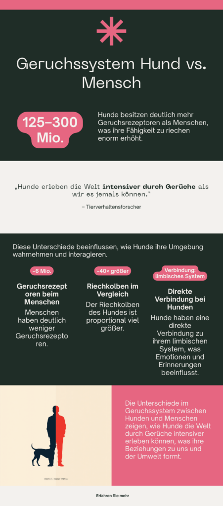 Vergleich Geruchssystem Hund und Mensch: Rezeptorzahl und Gehirnanteil